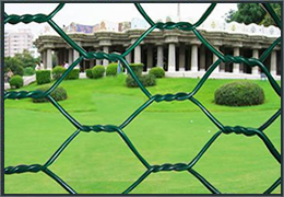 Hexagonal Wire Netting