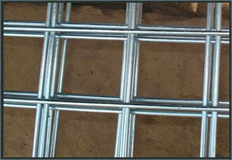 Welded Wire Mesh